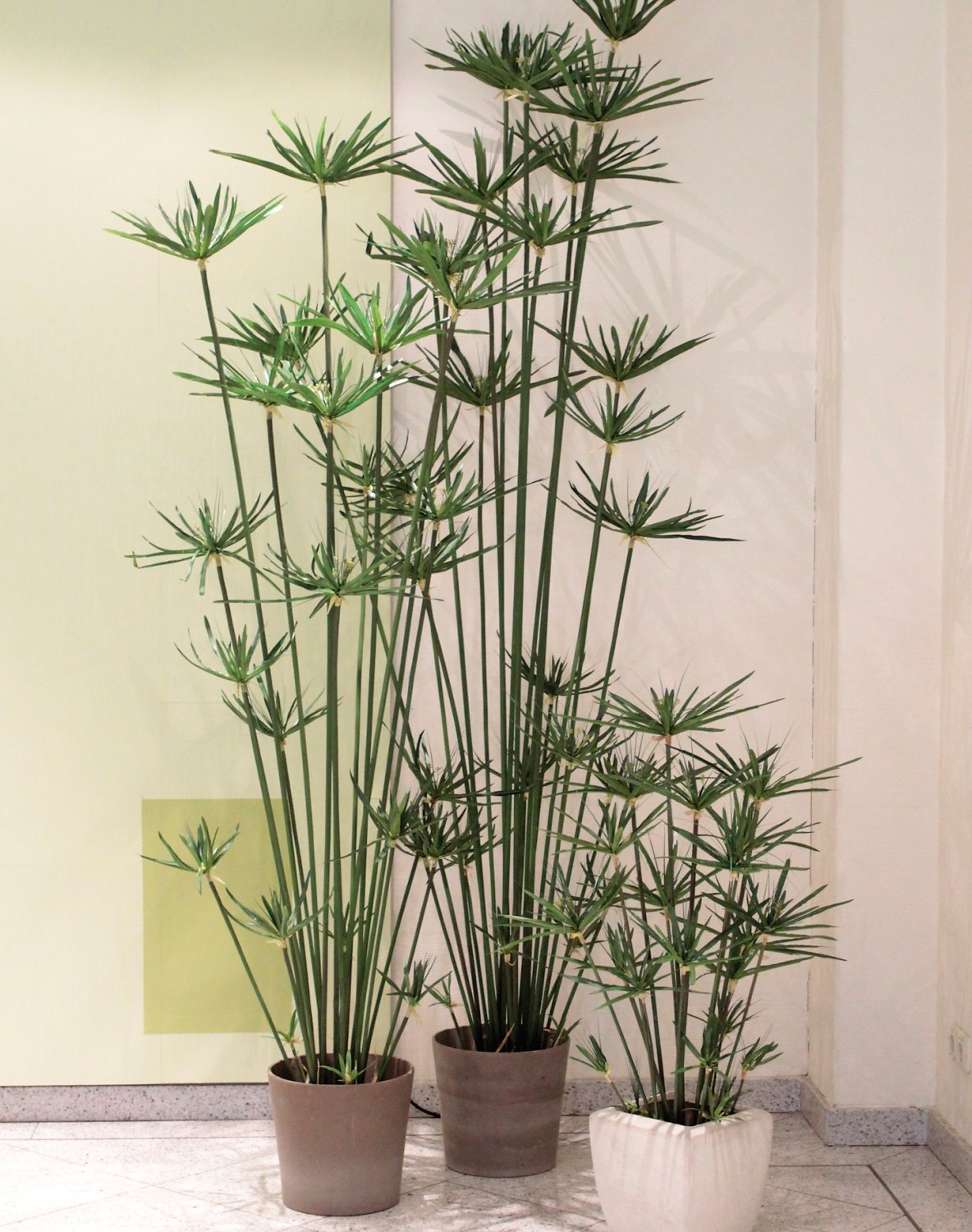 5474 883 a3 Искусственные орехи в горшках, 105 см, зеленые H-andreas  - Вид №6