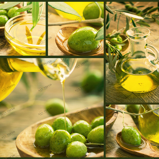 B1-037 Фотообои DIVINO Collection B 2.7х3 м B1037