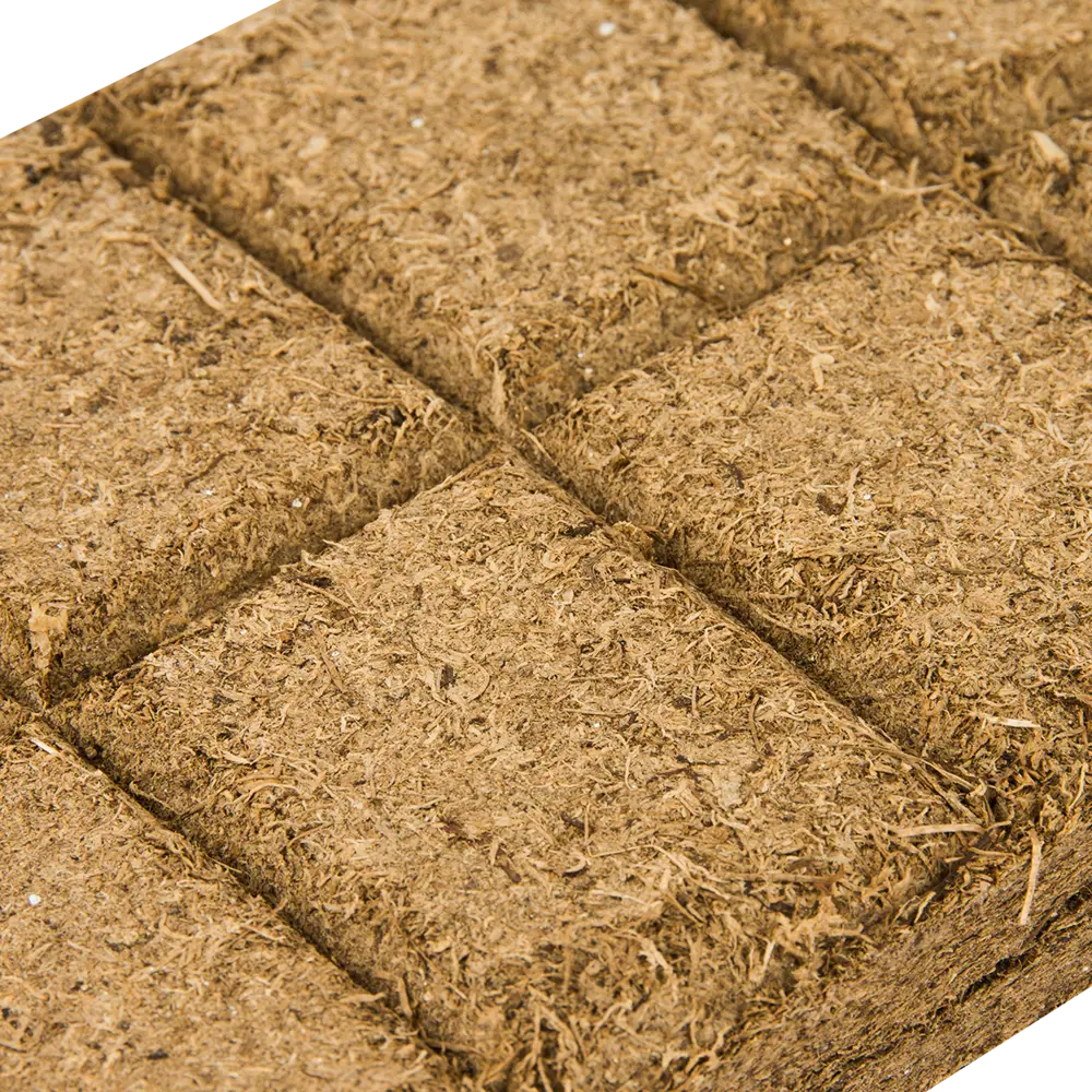 БиоМастер «Чудный лимон» — плодородный грунт для цитрусовых растений 82375676 STLM-0025744 - Вид №3