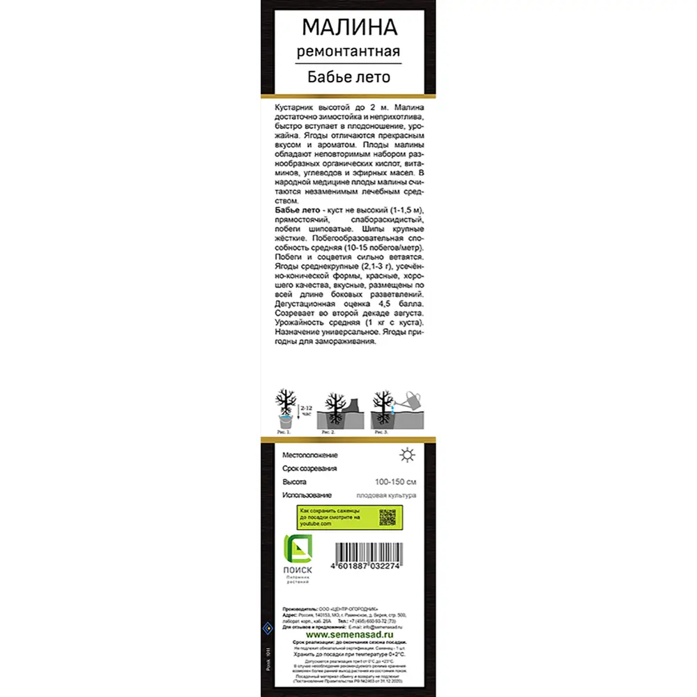Малина ремонтантная Бабье лето коробка h39 см 89408211 STLM-2094613 Santreyd  - Вид №1