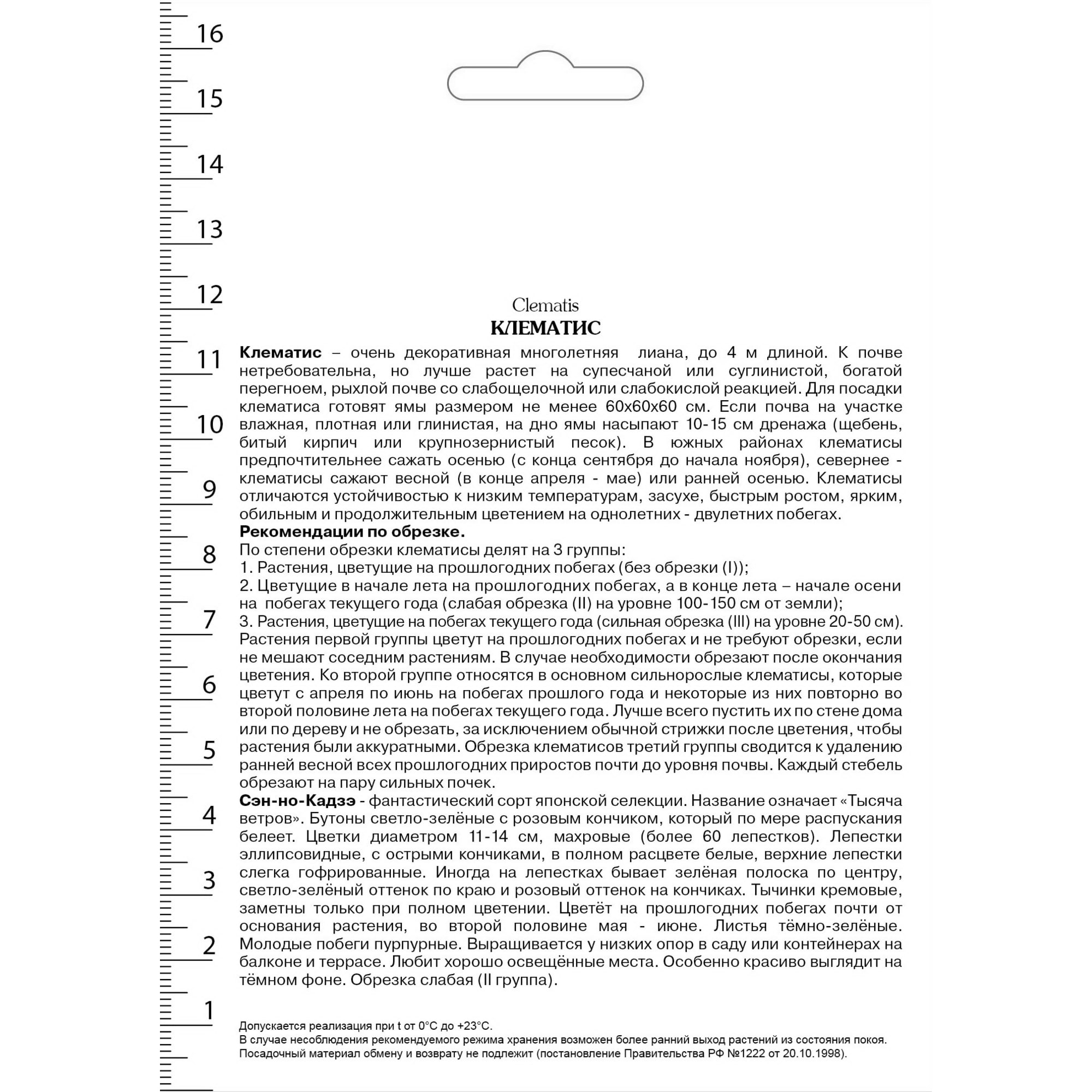 82527580 Клематис крупноцветковый Сэн-но-Кадзэ в капере Santreyd  - Вид №1