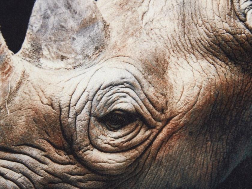 Koziel Квадратная подушка  9997-69  - Вид №1