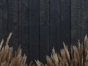 Freund GmbH Внутренняя и внешняя облицовка обугленным деревом Nature