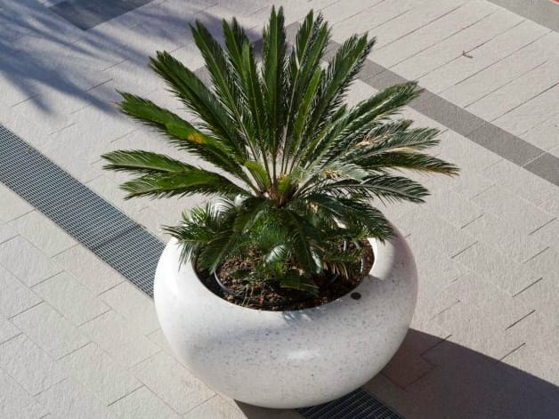 Вазон Bellitalia VENERE ARCH-00090127 - Вид №3