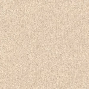 517538 Обои Rasch Etro