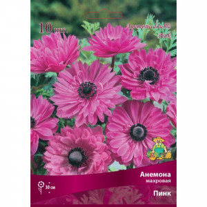 83593862 Анемона махровая Пинк луковица 5/6