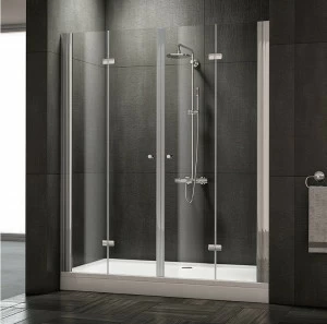 Душевая дверь в нишу Terra 00626  Словения