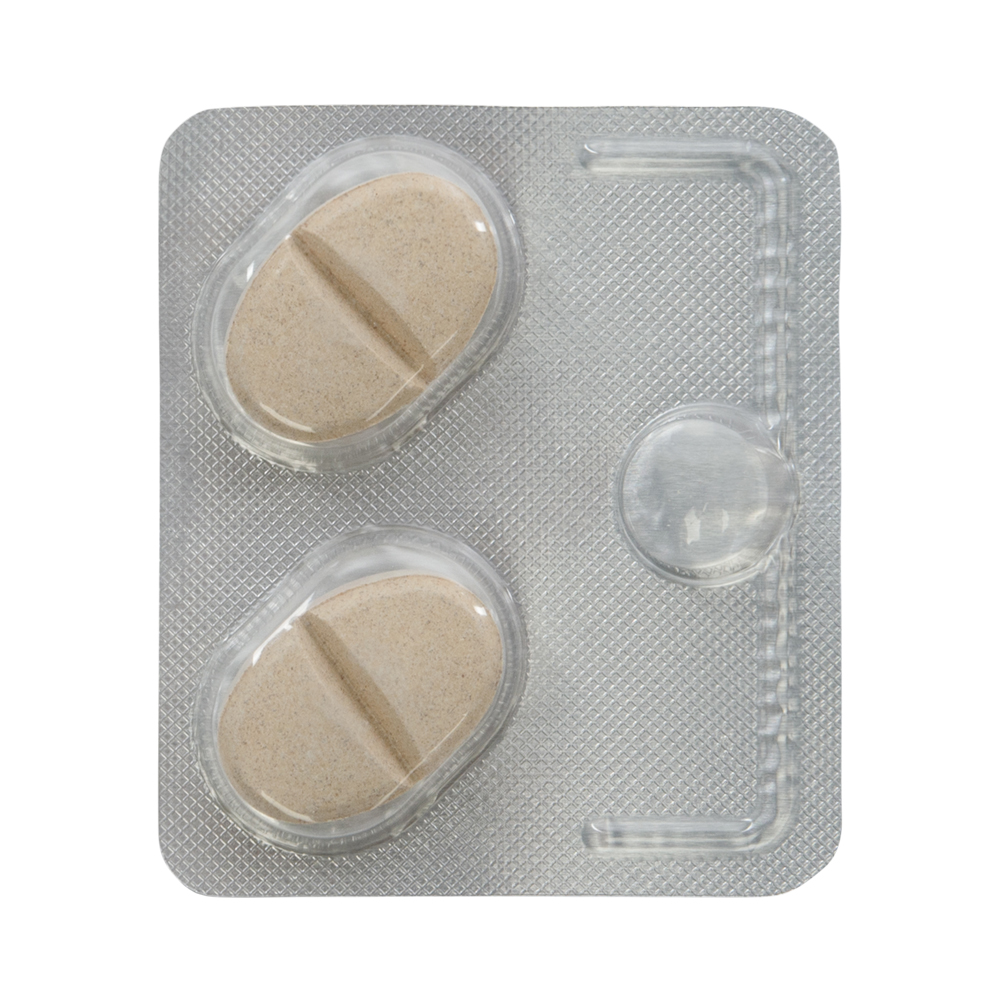 ПР0048415 Антигельминтик для собак BAYER Дронтал Плюс XL (1таб. на 35кг), 2 таблетки Elanco  - Вид №1