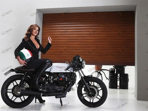 OFFICINE LOCATI Подъемные гаражные ворота sun-id-1425597