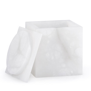 COSMOS-ALA-CN Космос Канистра Labrazel