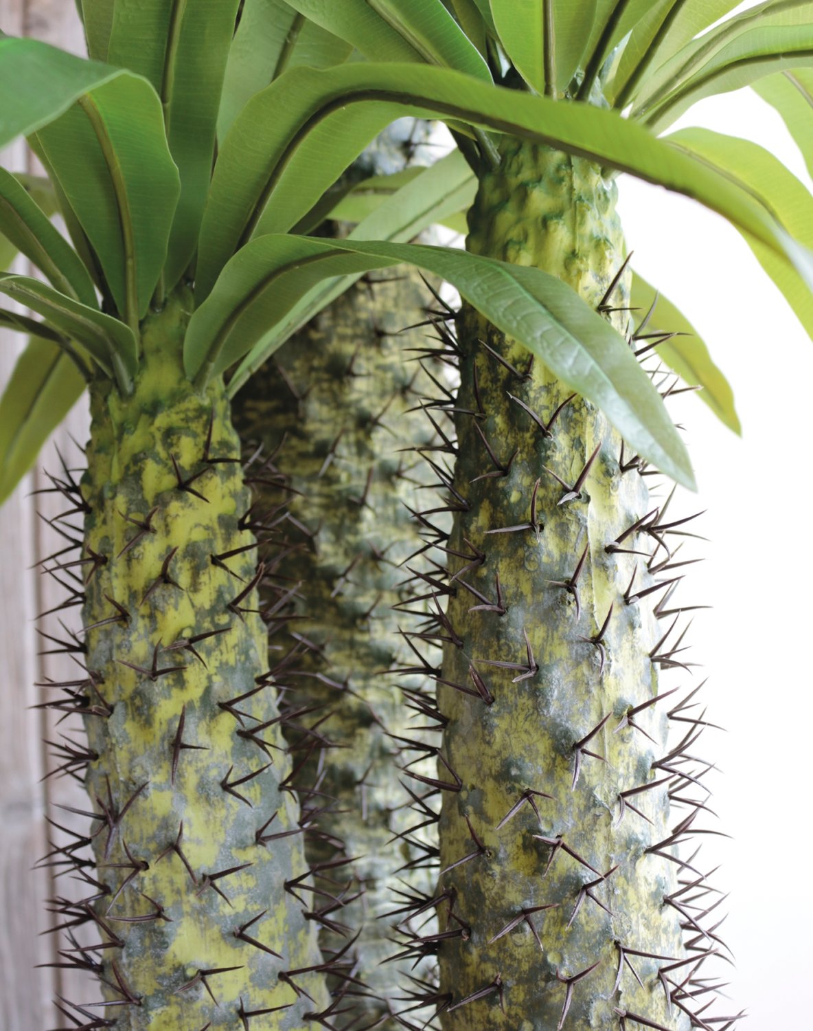 5896 883 a3 Искусственная пальма Мадагаскар, в горшке, 3 стебля, 170 см, зеленая H-andreas  - Вид №1