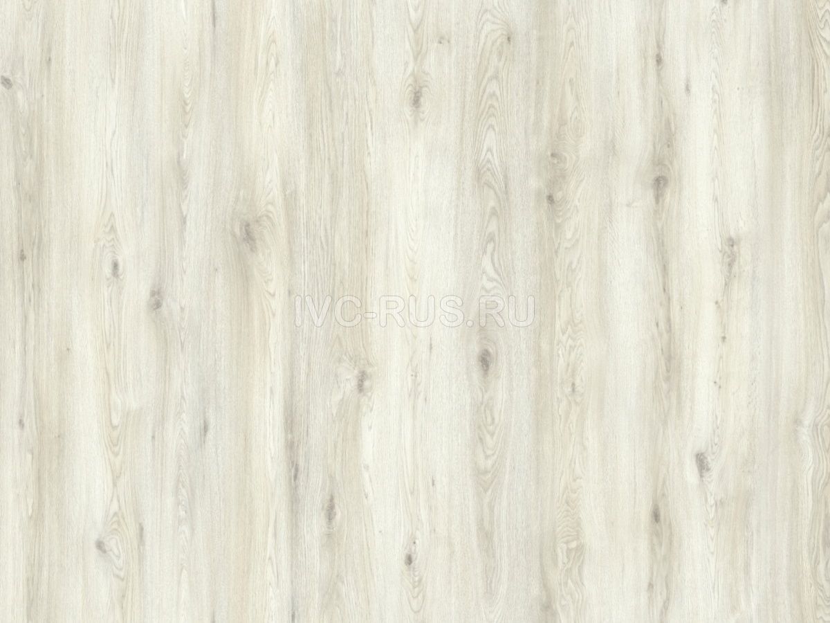 Линолеум коммерческий SUPER VELVET - СУПЕР ВЕЛЬВЕТ i520240 IVC-RUS 