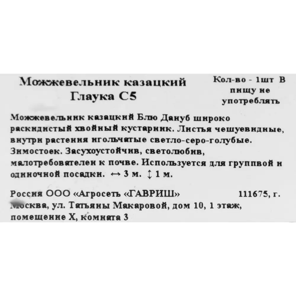Можжевельник казацкий «Глаука» C5 82171903 STLM-2139312 ГАВРИШ  - Вид №1