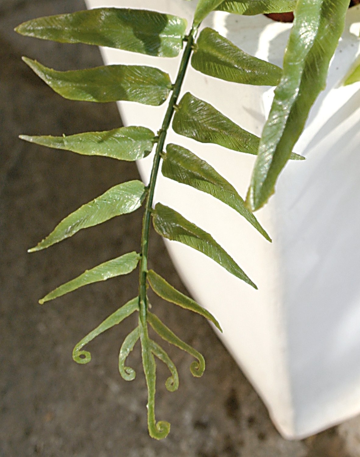 5198 883 a3 Искусственный папоротник, 25 см, зеленый H-andreas  - Вид №2