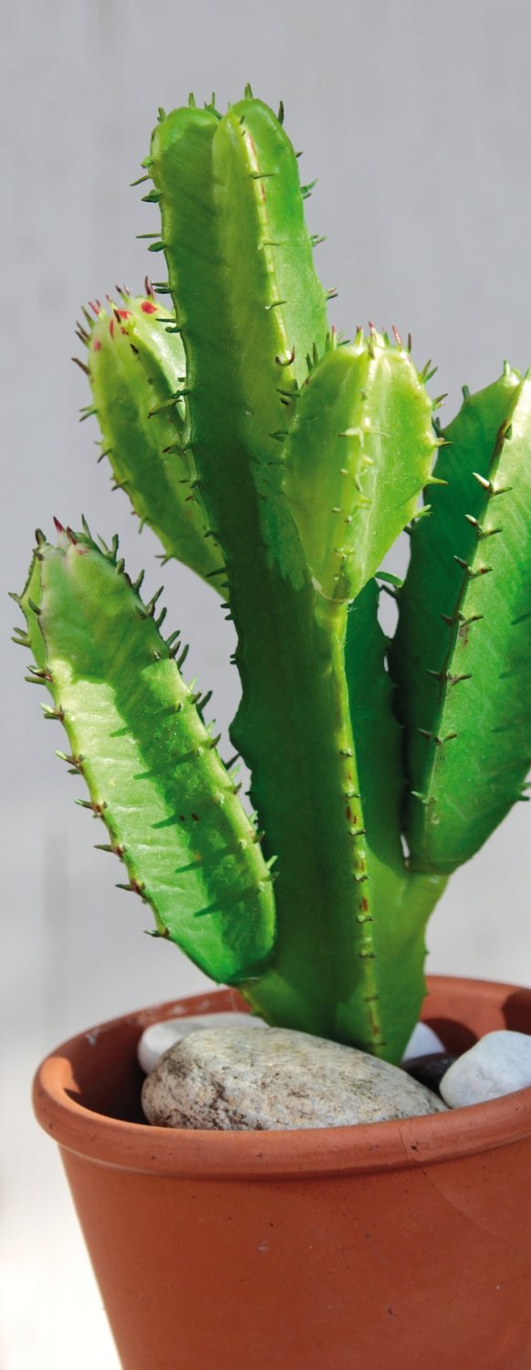 6484 883 a3 Сочные искусственные растения на палочке, 17 см, зеленые H-andreas  - Вид №3