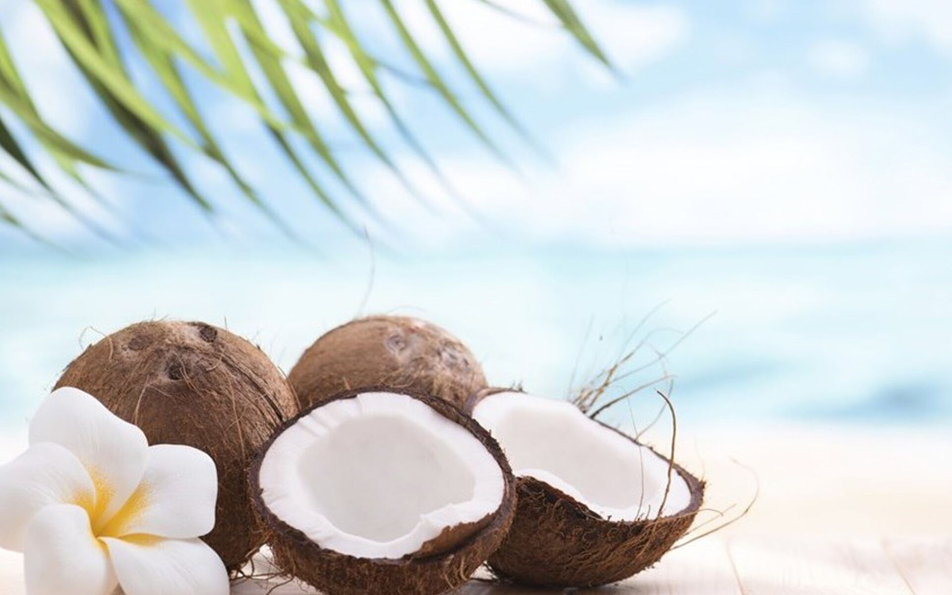 Набор для спа-ароматерапии Aquademy AROMATERAPIA IN ACQUA ARCH-00083585 - Вид №7