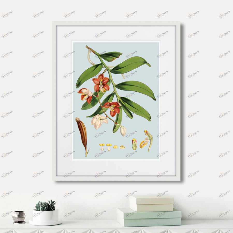Картина в раме 52х42 см Himalaya Plants White And Orangered Flowers, 1869г. КАРТИНЫ В КВАРТИРУ  264429 Бежевый;зеленый;разноцветный 