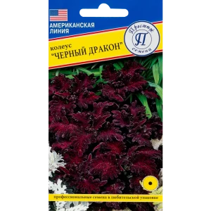 Колеус «Чёрный дракон» F1