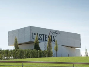 WOODN INDUSTRIES Внешняя облицовка фасада Modulatus