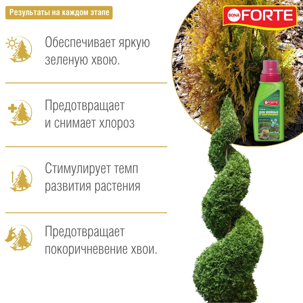 Santreyd BonaForte 4 в 1 — комплекс для здоровья хвойных растений 84534203 STLM-1524795 - Вид №3