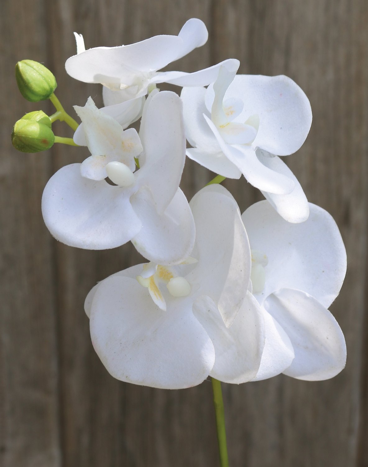 2601 777 a3 Искусственная орхидея Phalaenopsis, 37 см, real touch soft, белая H-andreas 