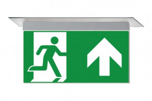 DST-3944 Ikus 2211-m Daisalux Светильники и спец. Серебристо-Серый