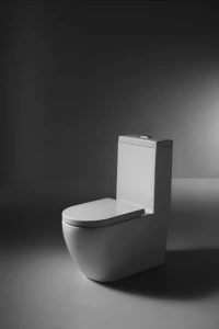 C02005W-3-ENG Компакт унитаз с бачком Белый Bravat Gina Турция