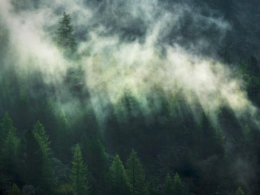 Komar Флизелиновые обои с пейзажами Home X7-1003 - Вид №1