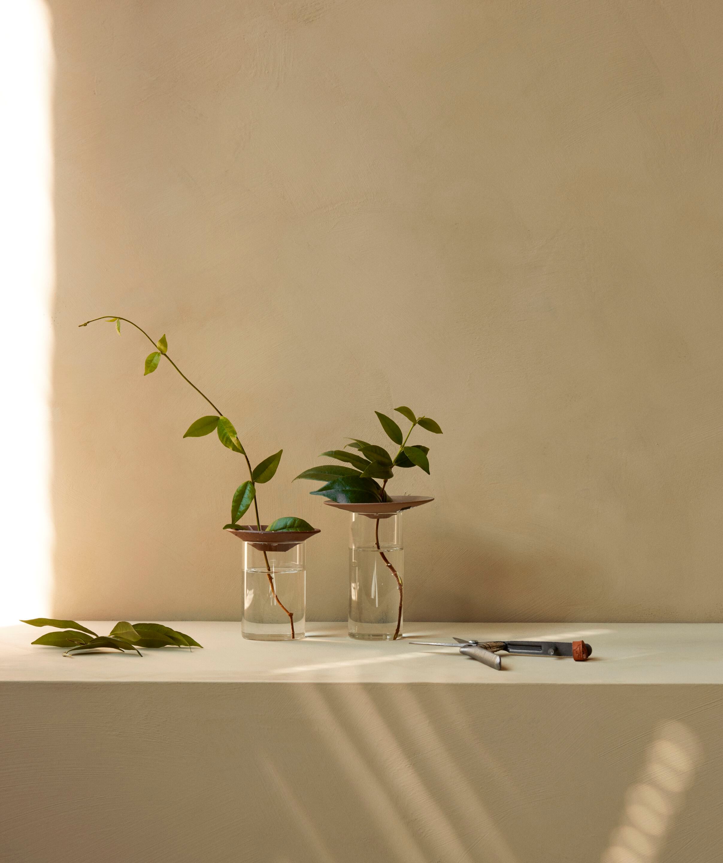 Керамическая и стеклянная ваза Audo Copenhagen CRESCO PROPAGATION ARCH-00022443 - Вид №4