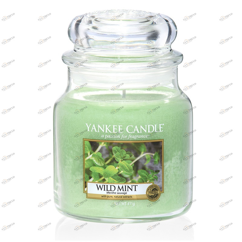 Свеча средняя в стеклянной банке "Дикая мята" 411 гр 65-90 часов YANKEE CANDLE  267962 Зеленый 