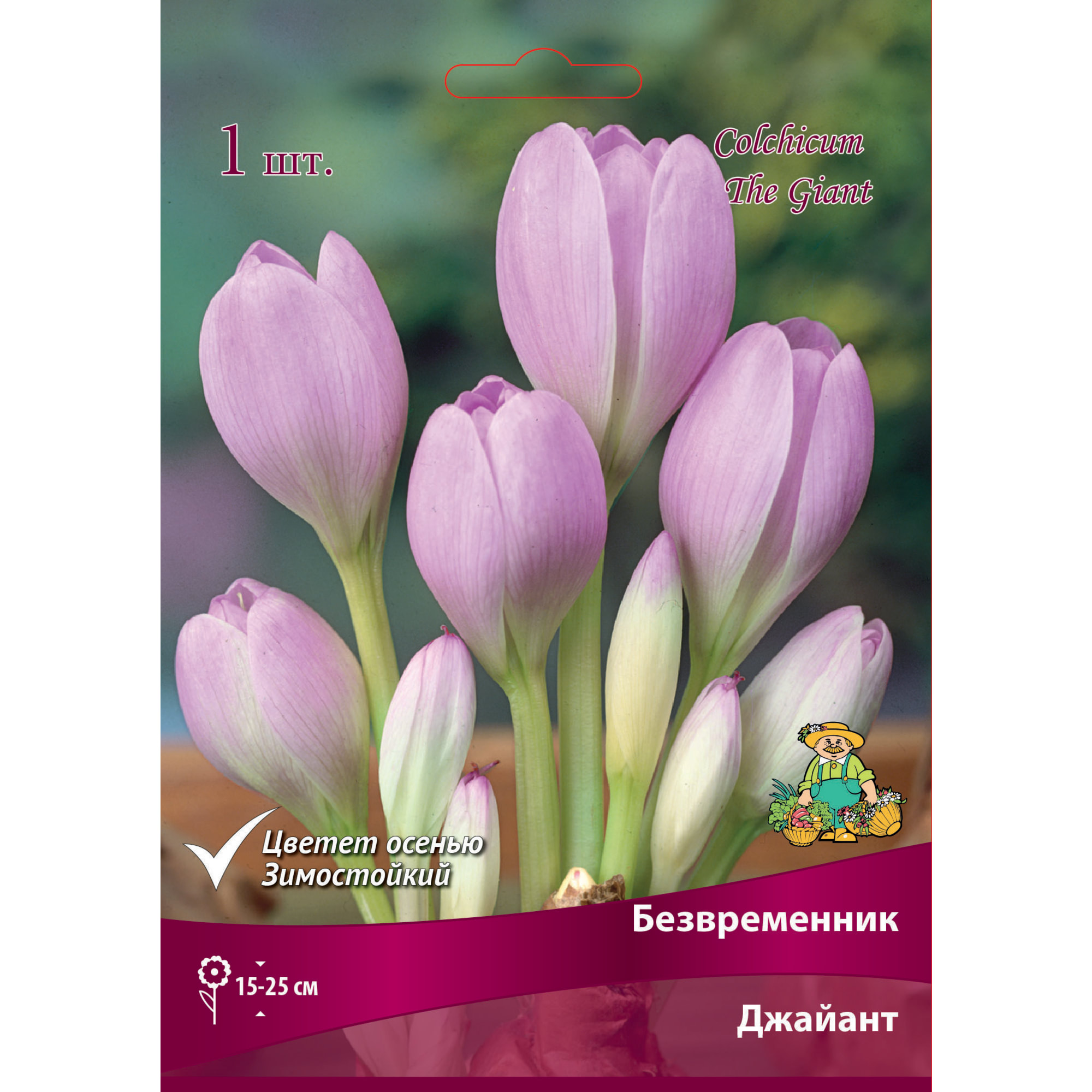 Безвременник «Джайант» размер луковицы 18/20 Santreyd 82661805