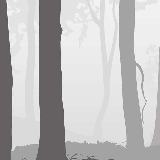 Стеновые панели - Дримвальд LIGRON LIST41 2304 - Вид №4