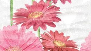 Декор Dec Gerbera Panno B 25х45