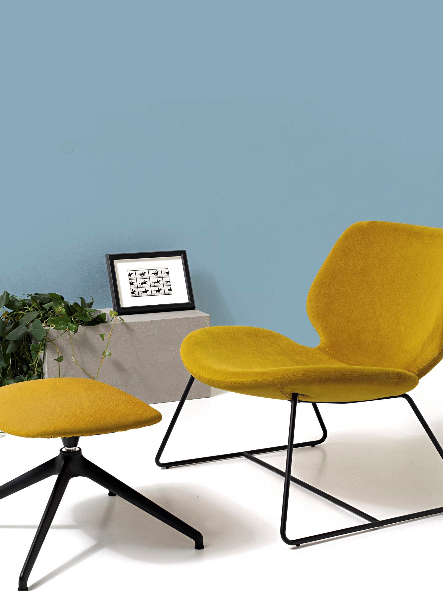 Тканевая спицевая подставка для ног Diemme Eon Lounge ARCH-00027577 - Вид №4