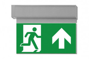 DST-1936 Ikus 2211-b Daisalux Светильники сигнальные Серебристо-Серый