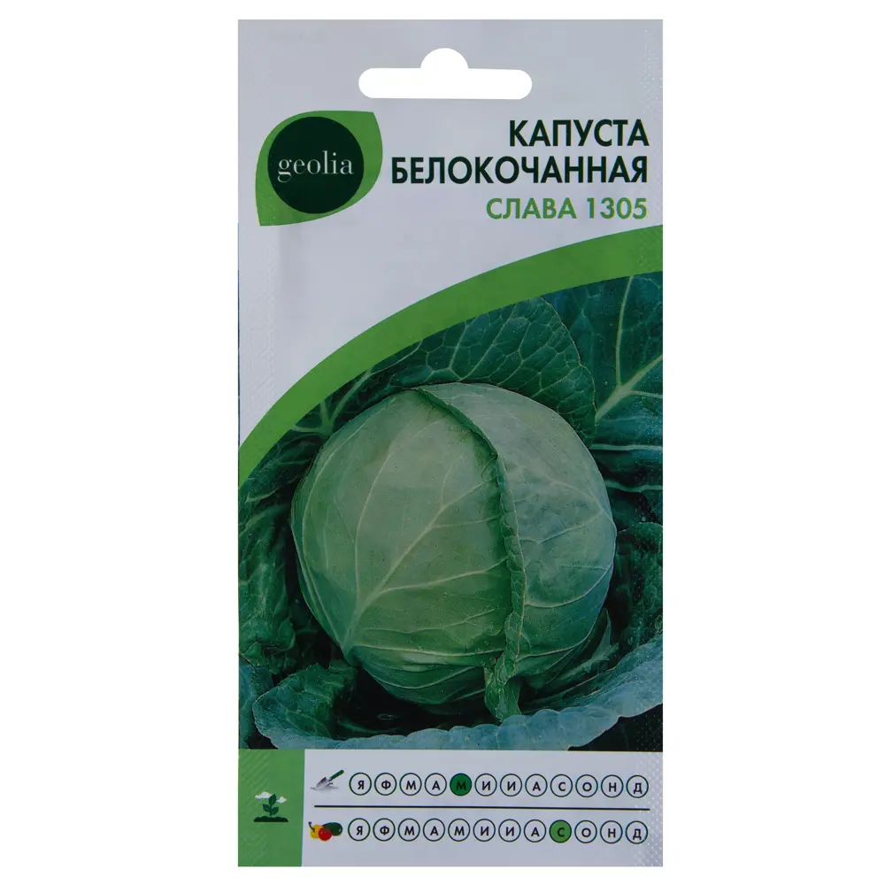 Семена капусты белокочанной Geolia «Слава 1305» для щедрого урожая 17585391 STLM-0008373
