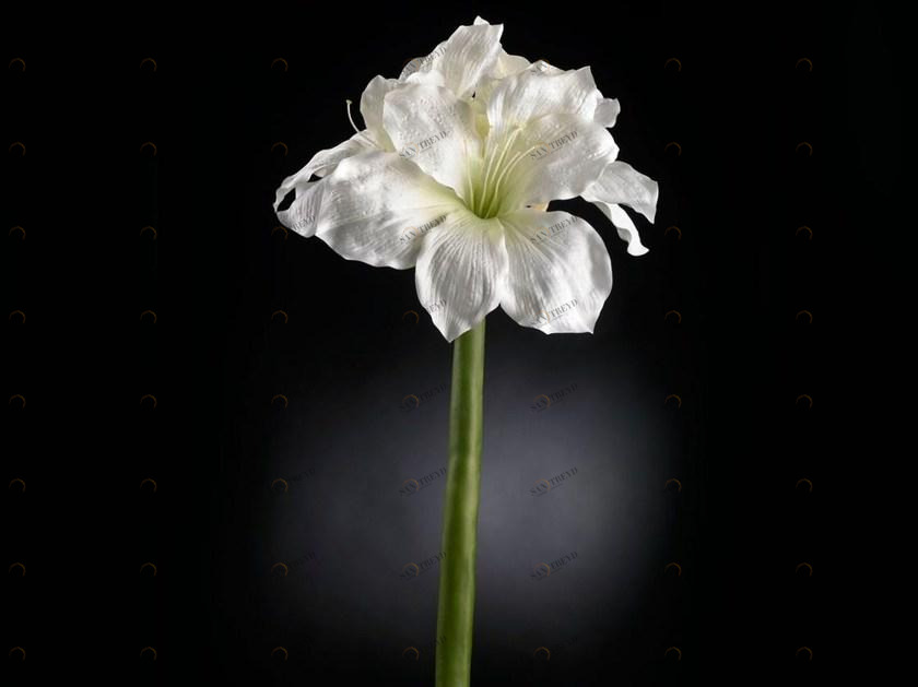 VGnewtrend Искусственное растение  1001553.95 