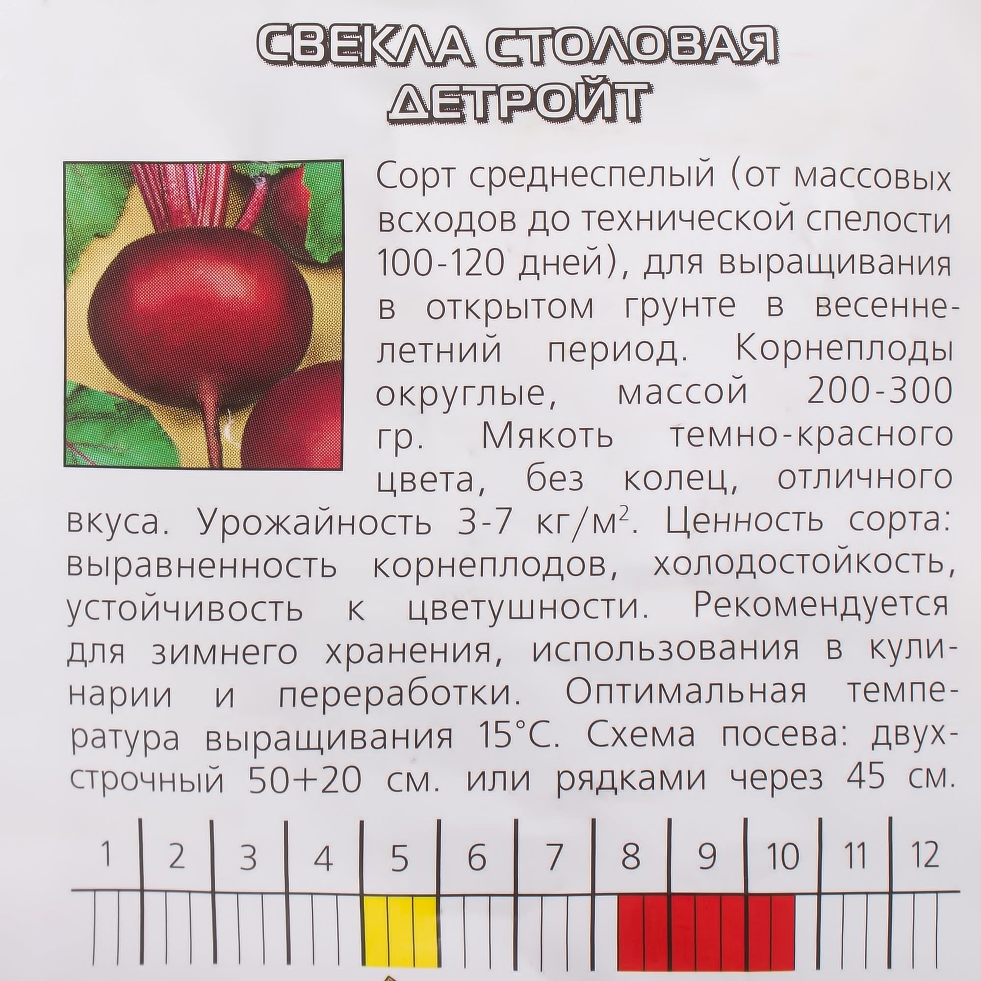 17251279 Семена Свёкла столовая «Детройт» Santreyd  - Вид №2
