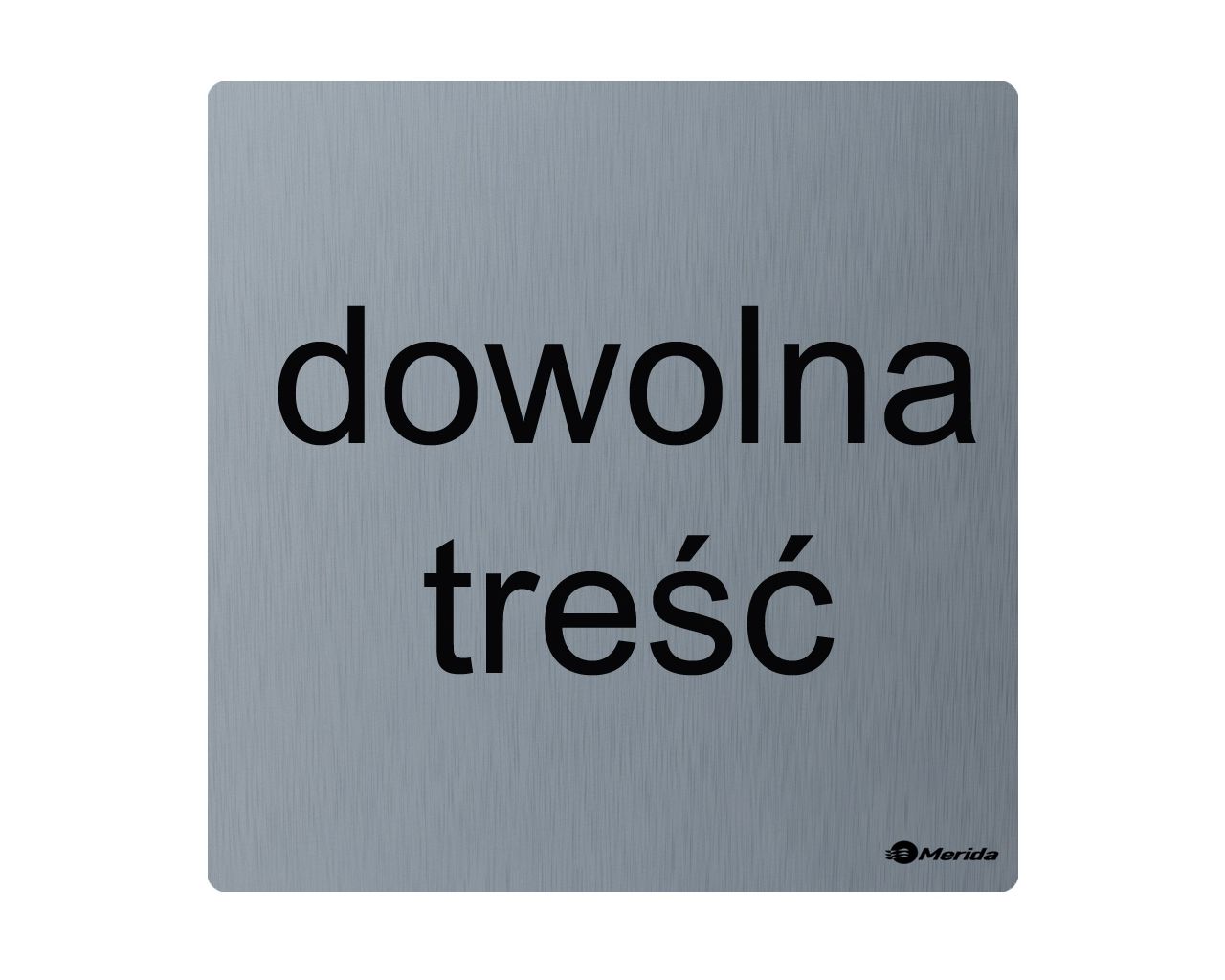 GSM011 Пиктограмма - персонализированный знак/надпись тусклый. 95 x 95 x 2 мм, матовая сталь Merida 