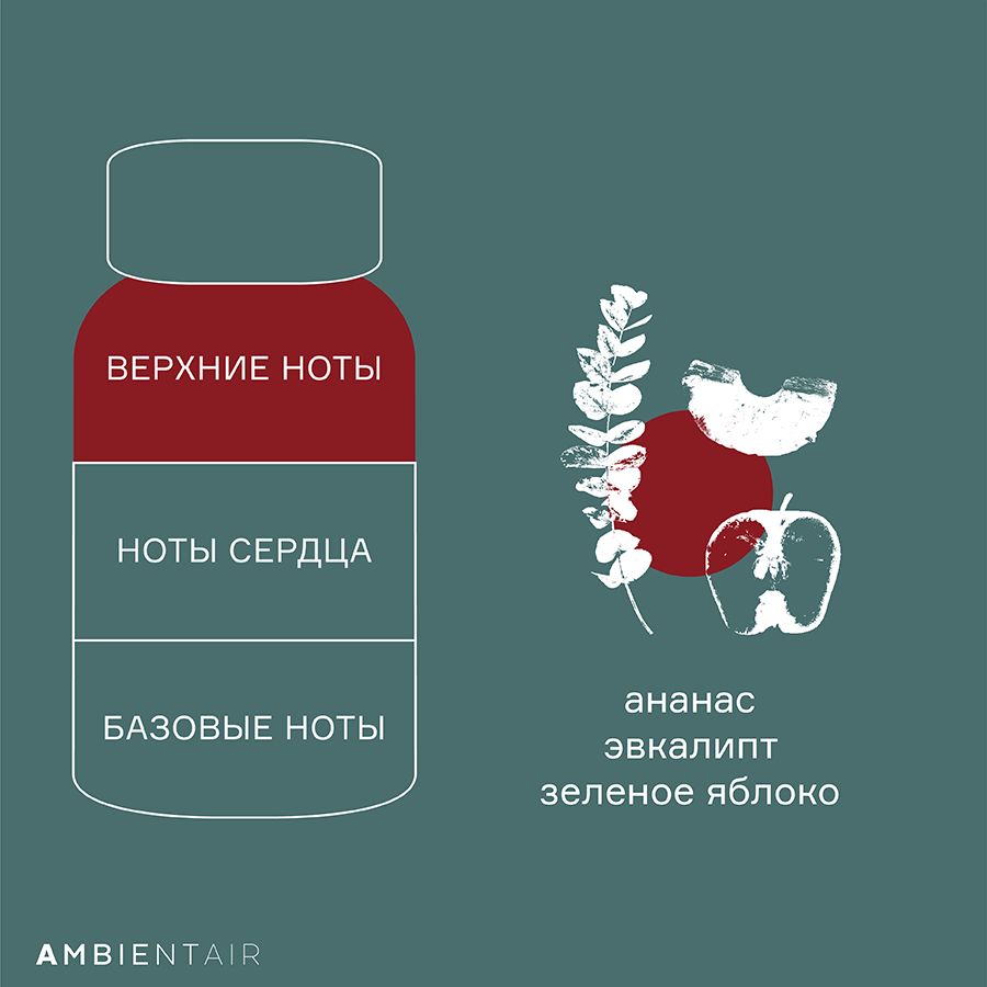 MK100MCTO Диффузор ароматический gifting, Корица и яблоко, 100 мл Ambientair  - Вид №4