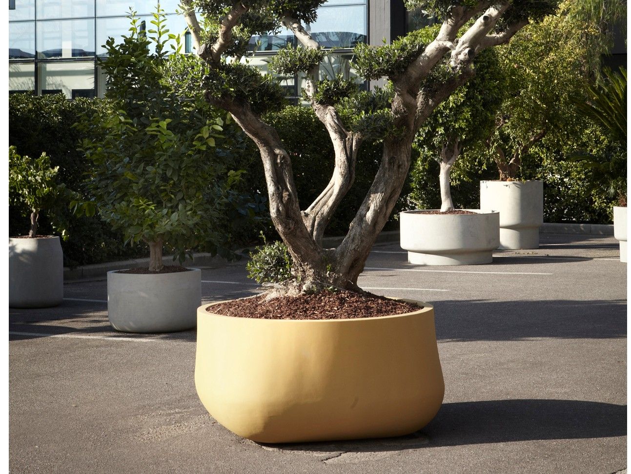 Бетонный садовый горшок Antoniolupi гиганты ARCH-00085819 - Вид №1