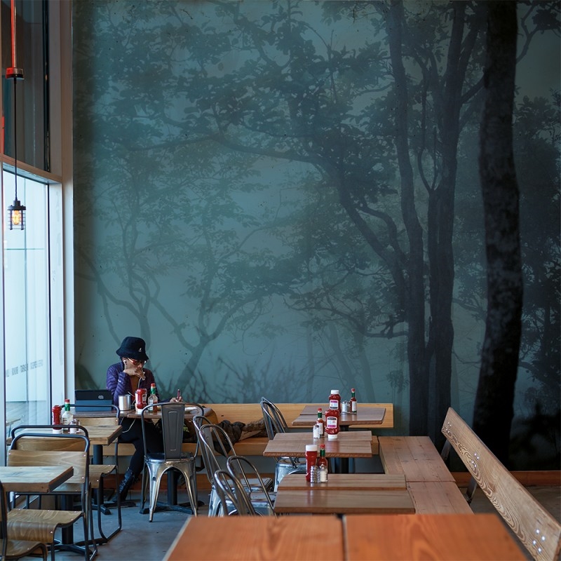 WP02025A Обои декоративные Adriani e Rossi  - Вид №2