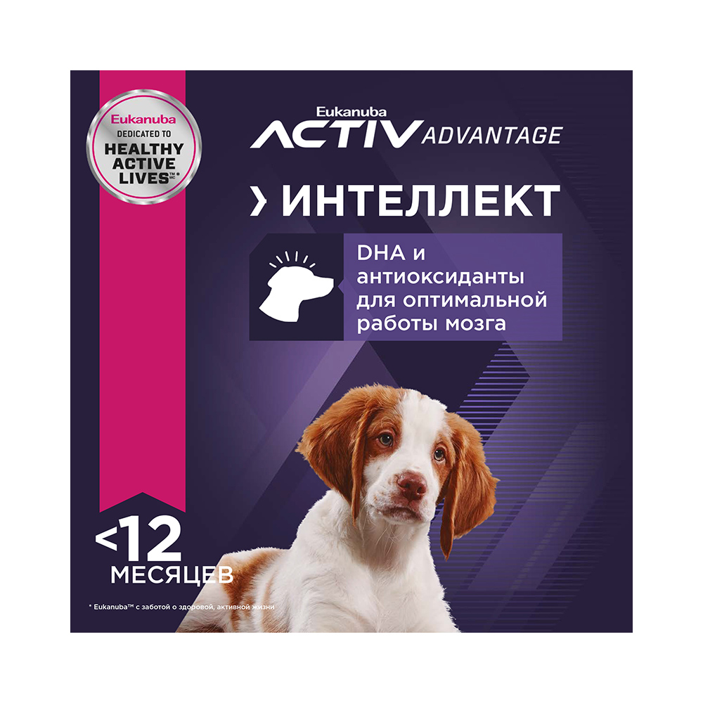 ПР0033061 Корм для щенков для средних пород сух.800г Eukanuba  - Вид №5