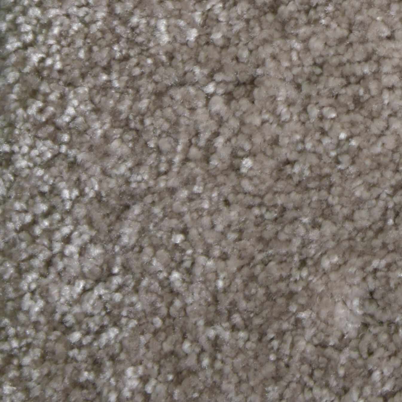 Ковер / Ковер Ademi Резка по запросу - от стены до стены (внутри помещений) ARCH-00139874 - Вид №5