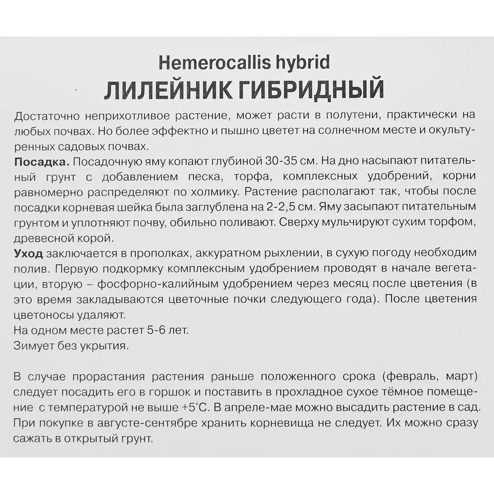 Лилейник гибридный ЭвериДейлили Крим 86410475 STLM-2045209 ПОИСК  - Вид №2