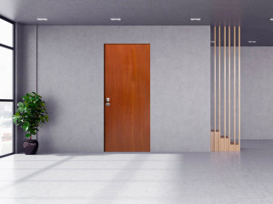 Огнестойкая бронированная входная дверь