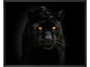 Печать фотографий на бумаге