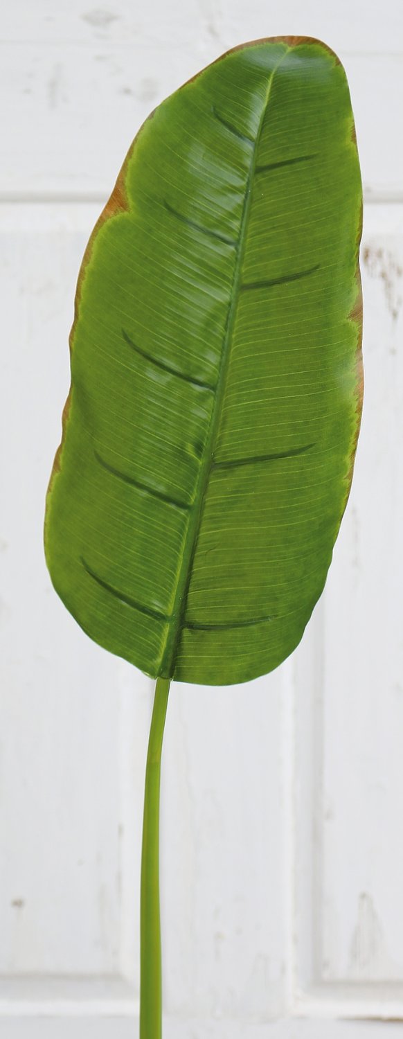 5811 883 a3 Лист банана искусственный, 96 см (лист 38 см), зеленый H-andreas  - Вид №2