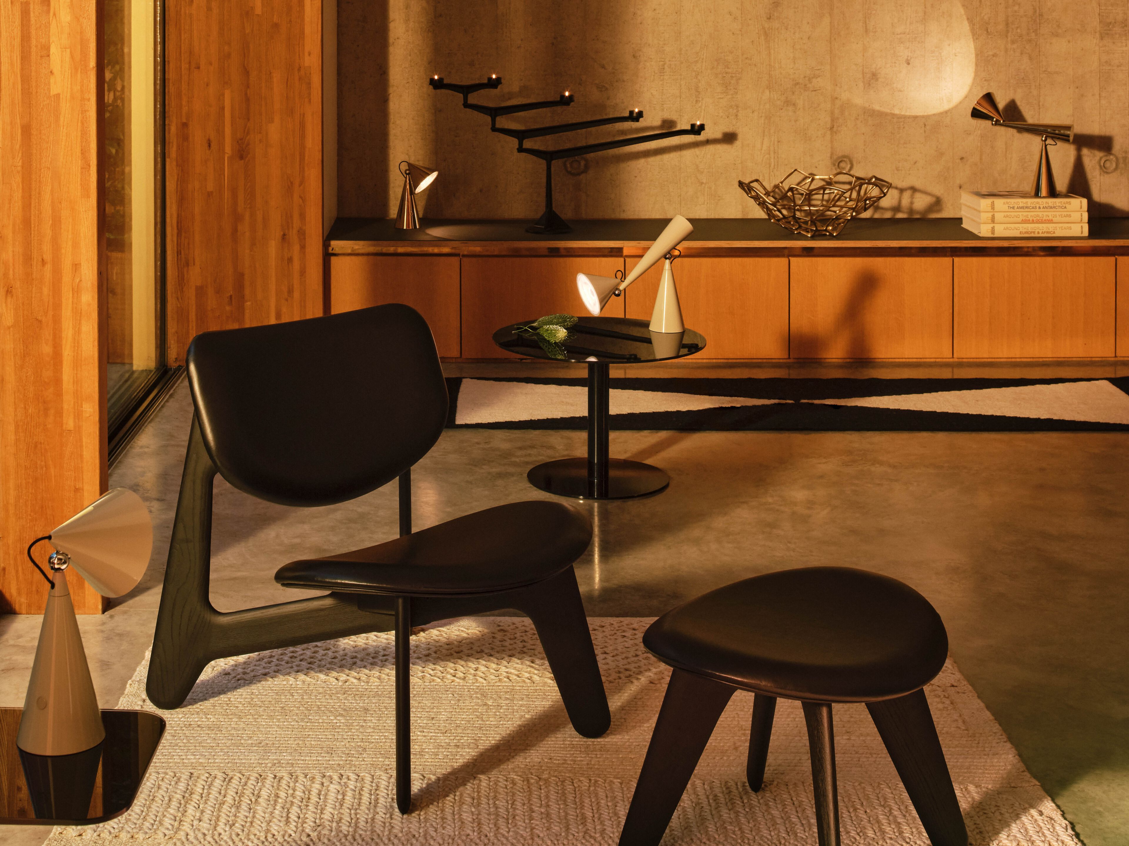 Светодиодная настольная лампа с батарейным питанием Tom Dixon POSE TASK LED ARCH-00076902 - Вид №15