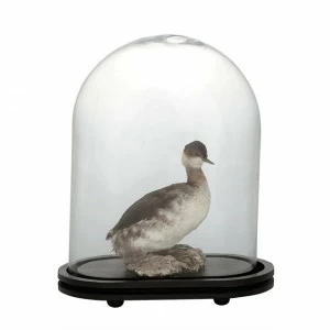 Статуэтка декоративная стеклянная 42,5х24 см прозрачная Bell Jar Trapani EICHHOLTZ ПТИЦЫ 059701 Серый
